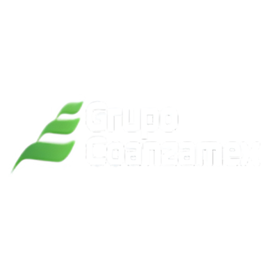 Coanzamex